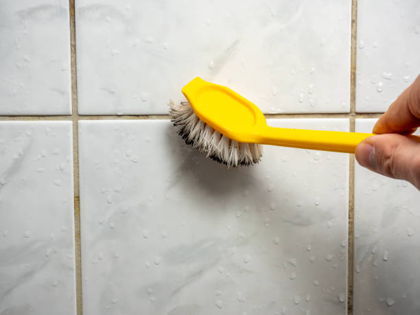 Trusted Merryville, LA Mold Remediation Experts