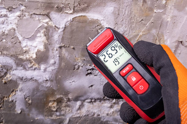 Best Black Mold Remediation in Merryville, LA